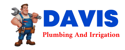 Trusted plumber in LEMING